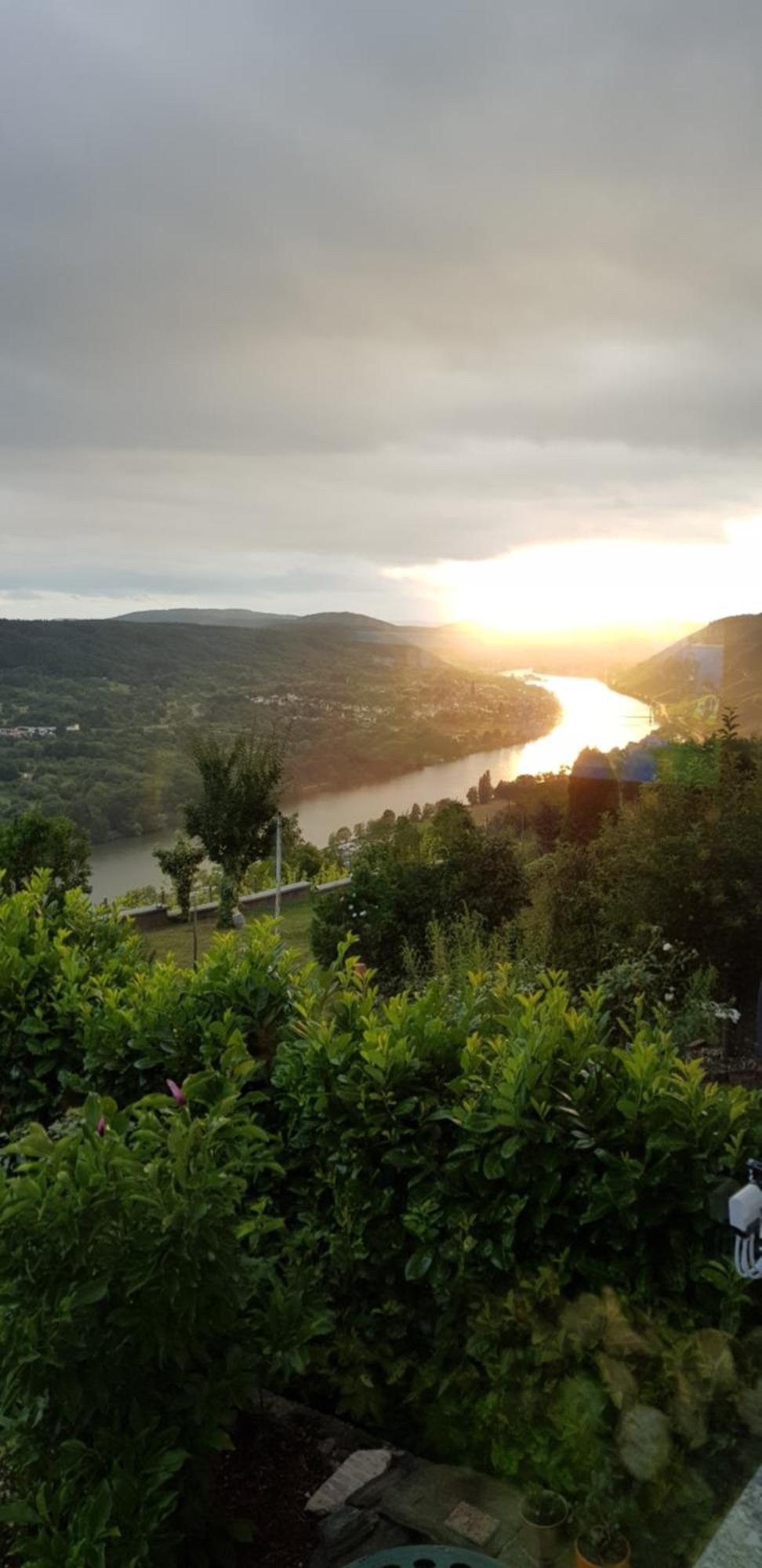 Apartment An Der Mosel 2 Graach Kültér fotó